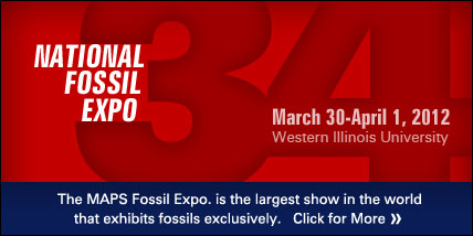 The MAPS Fossil Expo is the largest show in the world that exhibits fossils exclusively. Click to learn more.