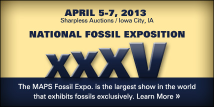 The MAPS Fossil Expo is the largest show in the world that exhibits fossils exclusively. Click to learn more.