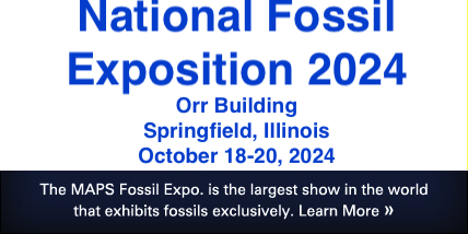 The MAPS Fossil Expo is the largest show in the world that exhibits fossils exclusively. Click to learn more.