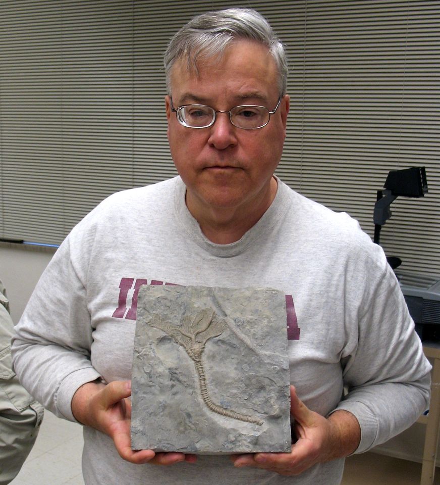 Sievers_crinoid_after