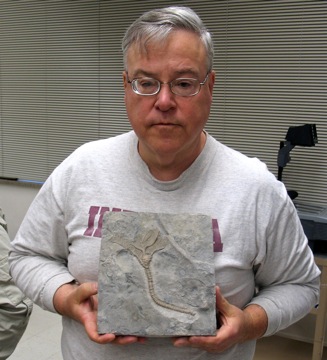Sievers_crinoid_after